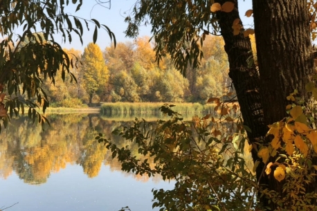 Берег Десны
